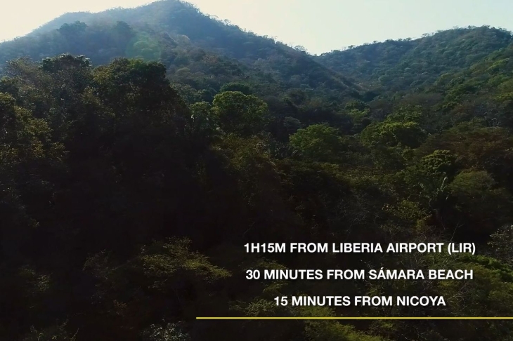 lush vegetation in Finca Las Nubes home and land for sale samara guanacaste costa rica