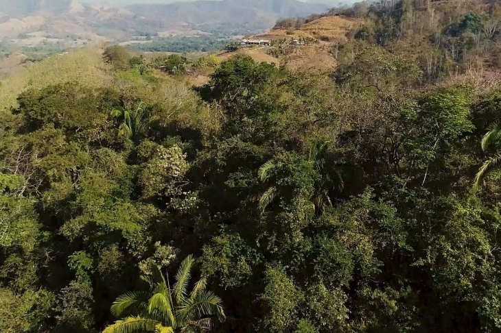jungle around Finca Las Nubes home and land for sale samara guanacaste costa rica