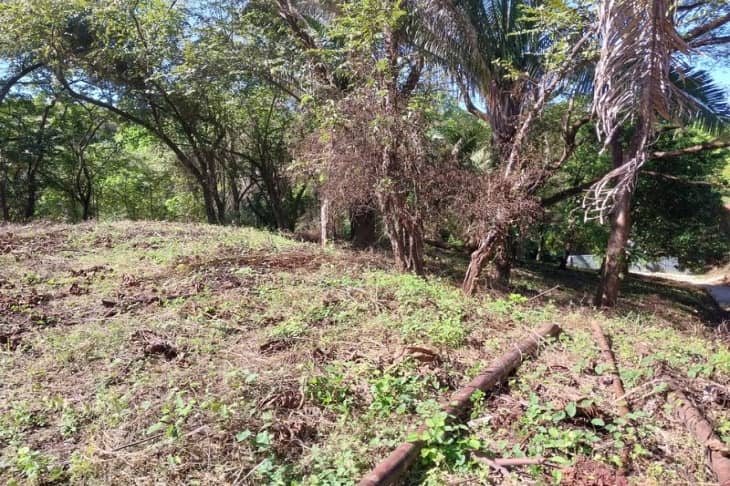 grassy building site of lote 35 land for sale samara guanacaste costa rica