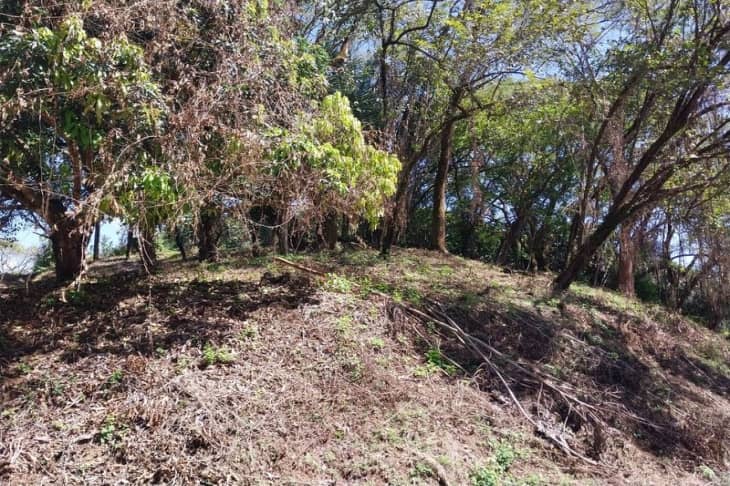 lot of trees on lote 35 land for sale samara guanacaste costa rica