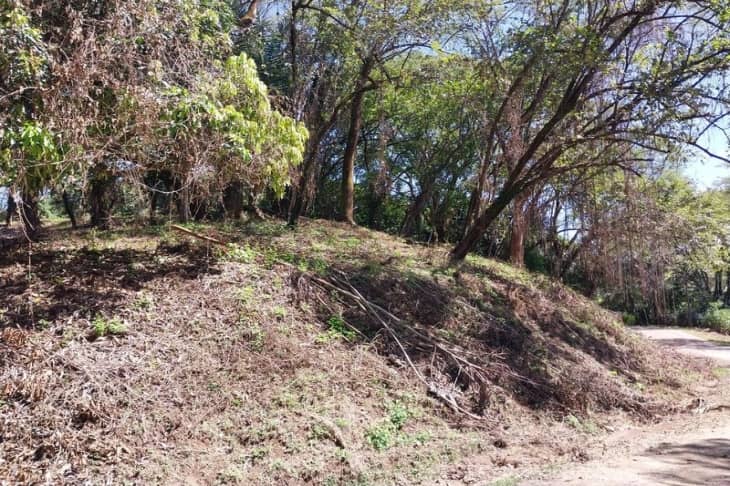 Different kind of trees on lote 35 land for sale samara guanacaste costa rica