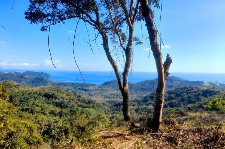 Stunning ocean view from lote amanecer land for sale playa carillo guanacaste costa rica