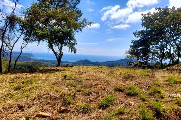 grassy area with trees overlooking the ocean on lote amanecer land for sale playa carillo guanacaste costa rica