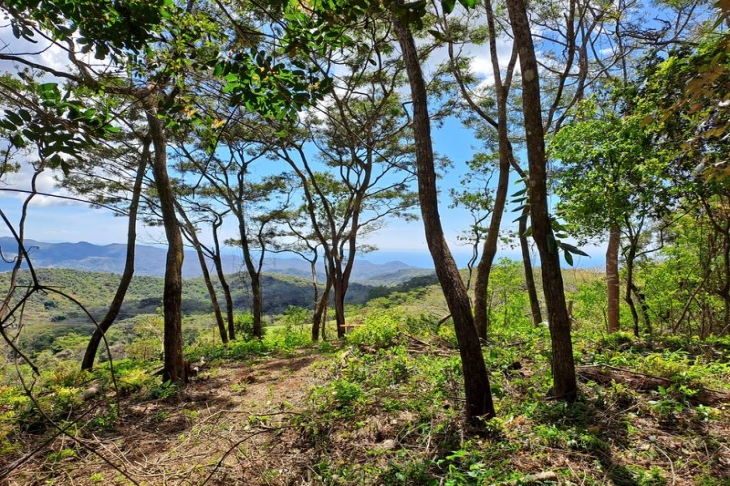 trees, mountains and ocean views from lote Mirador two for sale samara costa rica