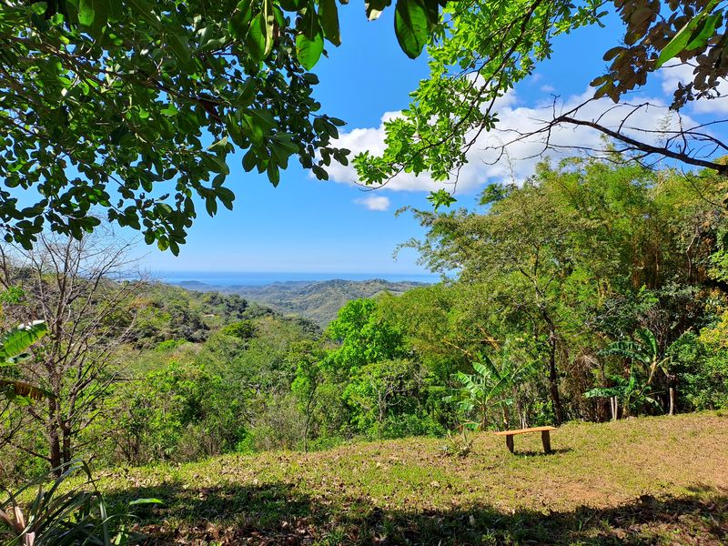 Ocean and jungle view at Lotes Pura Natura, land for sale at Naranjal, Samara, Guanacaste, Costa Rica