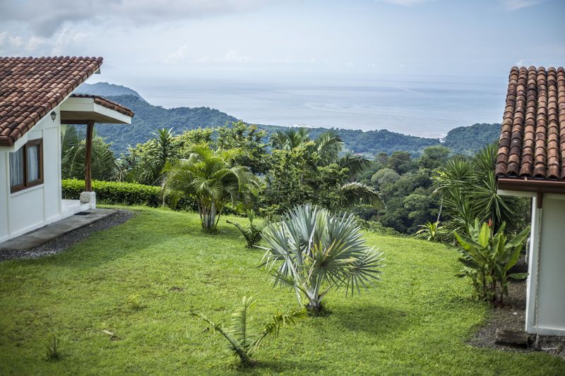 Different palms species at the Peaceful Retreat Hotel for sale at Carillo Beach Costa Rica