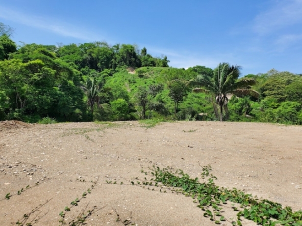 Jungle view from Lotes Tierre Fresca 1.25 acres lots for sale at Samara Costa Rica