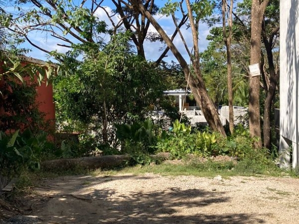 Trees on Lot Camino Buena Vista, land for at Sale Samara, Guanacaste, Costa Rica