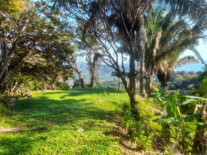 Lot of vegetation on Lote Vista Tranquila, land for sale in Carillo Beach, Guanacaste, Costa Rica