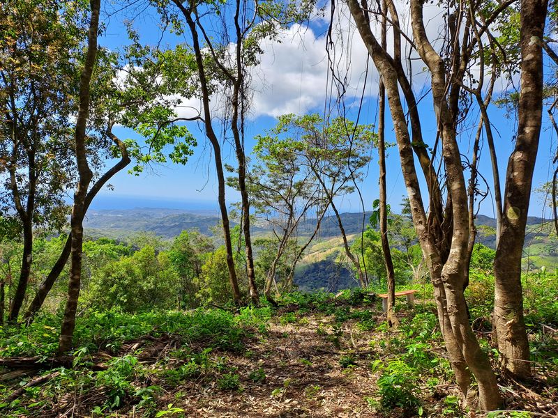 Small bench to admire the view at Lotes Mirador, land for sale at Naranjal, Samara, Guanacaste, Costa rica