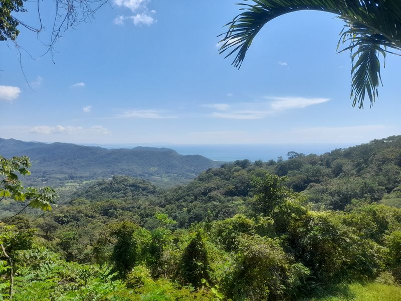 Amazing Ocean View from Lote Vista Tranquila, land for sale in Carillo Beach, Guanacaste, Costa Rica