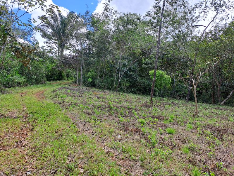 Acess to Lotes Pura Natura, land for sale at Naranjal, Samara, Guanacaste, Costa Rica
