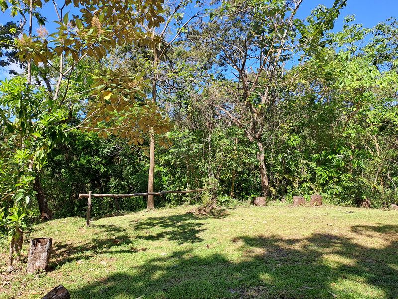 Patform at Lotes Pura Natura, land for sale at Naranjal, Samara, Guanacaste, Costa Rica