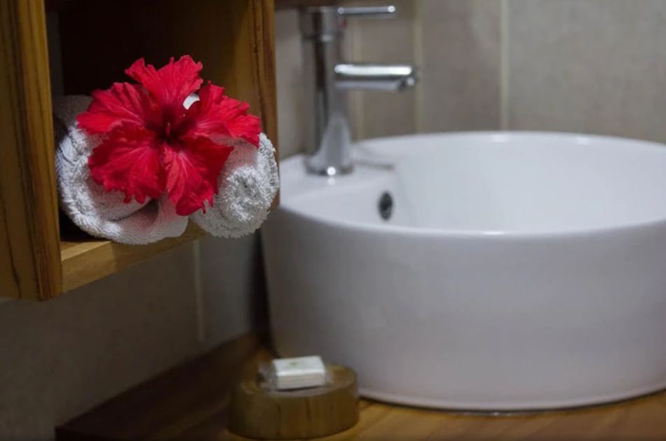 Hibicus and white sink at Hotel Pacifico, business for sale at Samara Beach, Guanacaste, Costa Rica