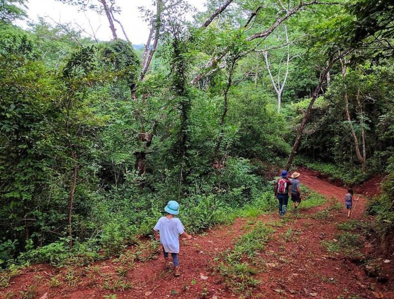 Walking trails at Lotes Pura Natura, land for sale at Naranjal, Samara, Guanacaste, Costa Rica