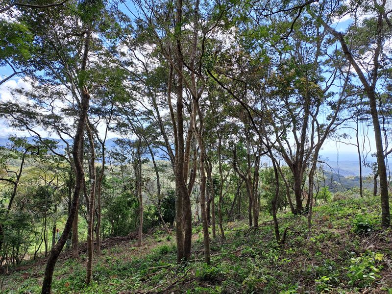 Mountain view at Lotes Mirador, land for sale at Naranjal, Samara, Guanacaste, Costa rica