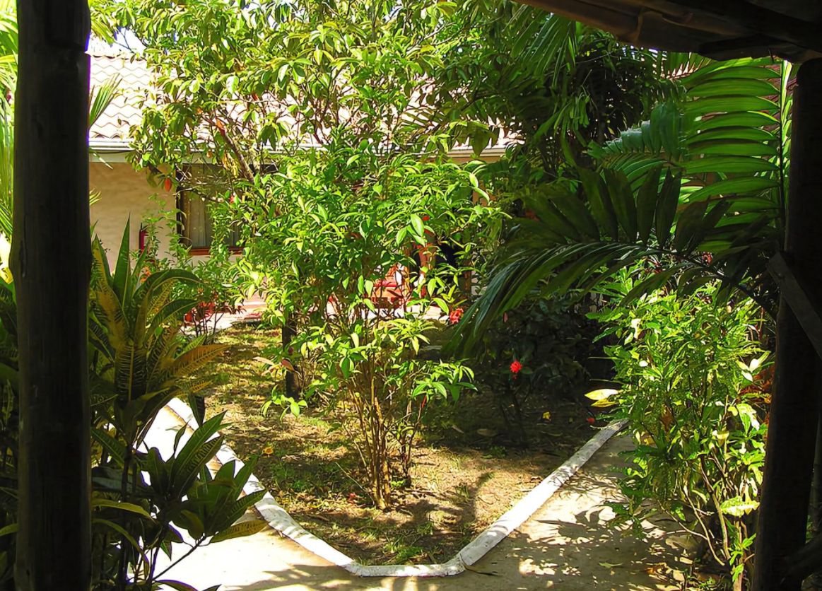 Tropical garden at Hotel Pacifico, business for sale at Samara Beach, Guanacaste, Costa Rica