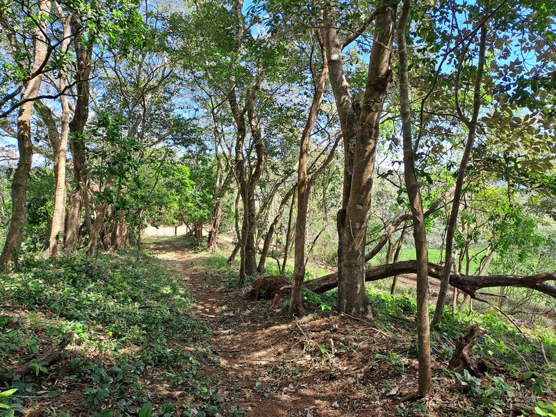 Trail at Lotes Mirador, land for sale at Naranjal, Samara, Guanacaste, Costa rica