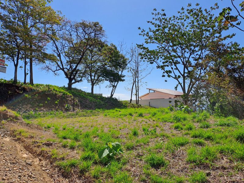 Neighbor view on Lot Hernan, land for sale in Carillo Beach, Guanacaste, Costa Rica
