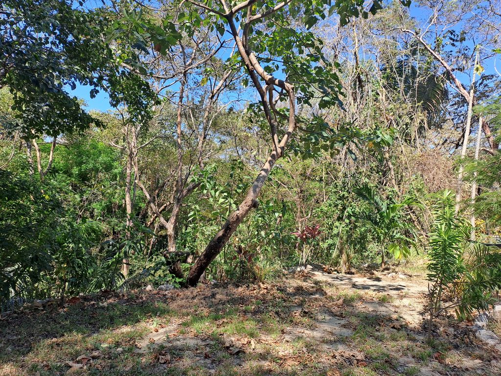Garden ofCasa Gigante, home for sale at Samara Beach, Guanacaste, Costa Rica