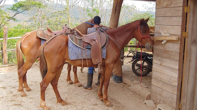 Horse stable at Lotes Pura Natura land for sale at Naranjal, Samara, Guanacaste, Costa Rica