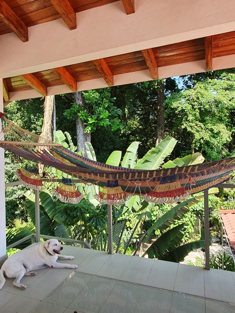 terrace with hammock and dog at Villa Medina, house for sale at Samara Beach, Guanacaste, Costa Rica
