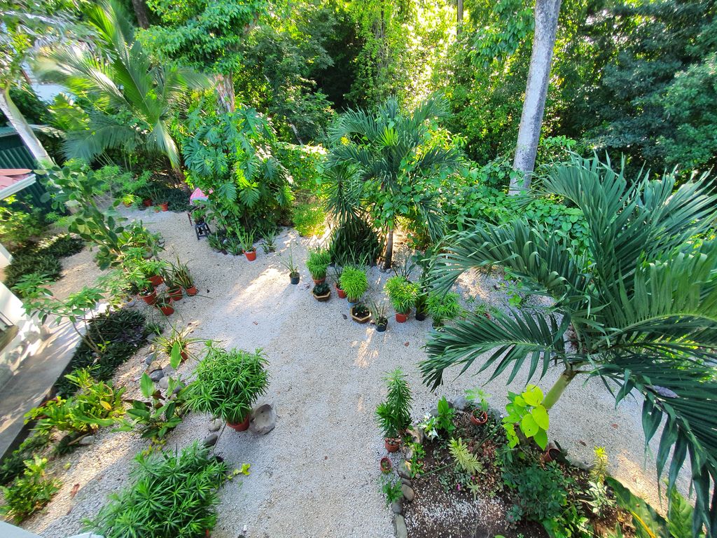 nice tropical garden of Villa Medina, house for sale at Samara Beach, Guanacaste, Costa Rica