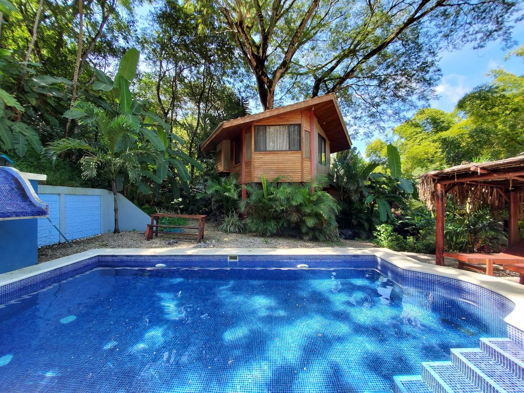 Blue mosaic in pool at Wild Life Lodge, rental income property, Hotels and businesses for Sale at Samara Beach, Costa Rica