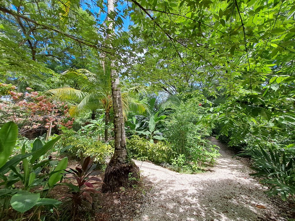 Nice trail on Casa Las Maracas, home for sale at Esterones close to Samara Beach, Guanacaste, Costa Rica