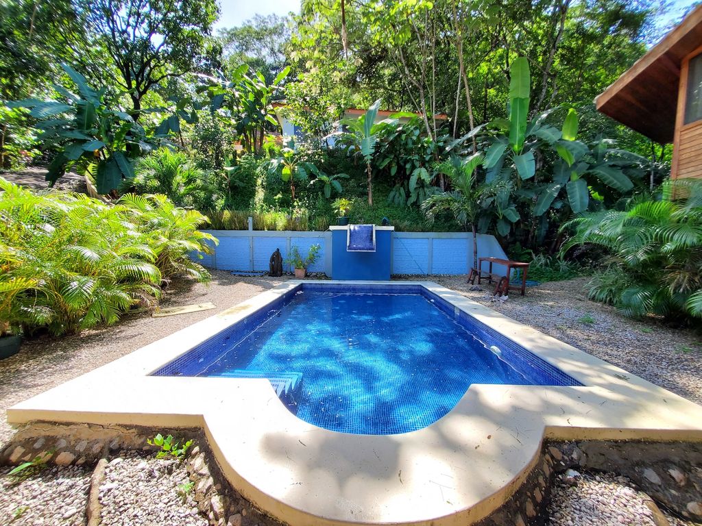 Pool view at Wild Life Lodge, rental income property, Hotels and businesses for Sale at Samara Beach, Costa Rica