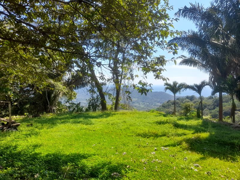 Great green grass on Lote Vista Tranquila, land for sale in Carillo Beach, Guanacaste, Costa Rica