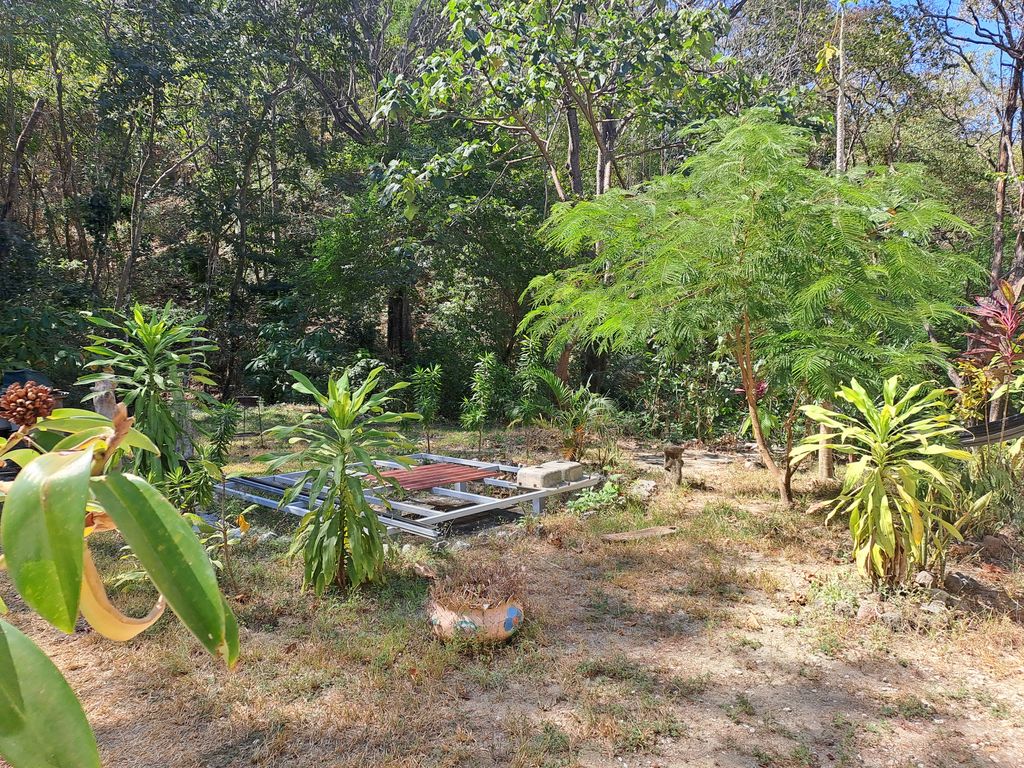 Backyard of Casa Gigante, home for sale at Samara Beach, Guanacaste, Costa Rica