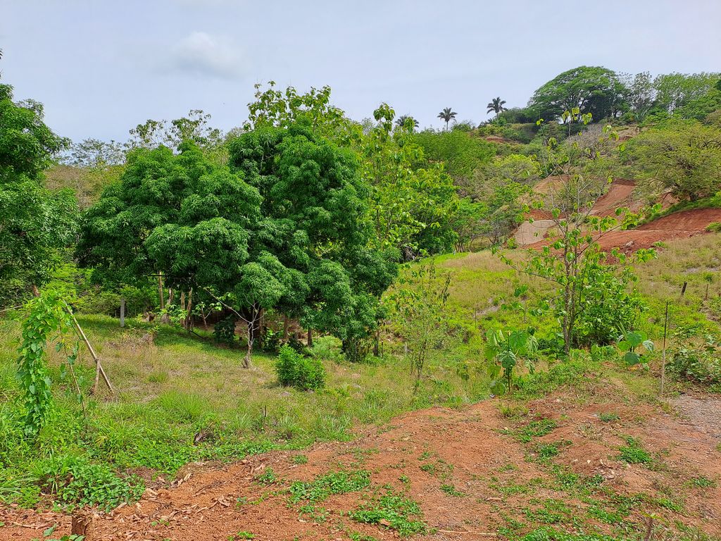 Jungle view of Casa Verde house for sale at Samara, Guanacaste, Costa Rica
