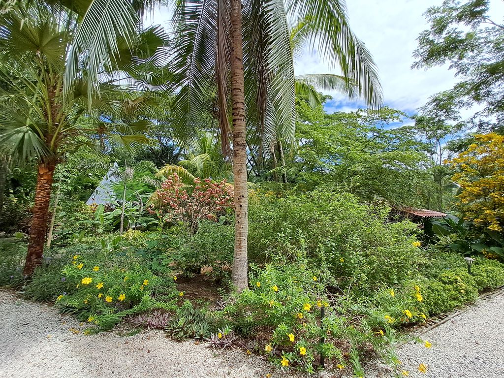 Coconut trees of Casa Las Maracas, home for sale at Esterones close to Samara Beach, Guanacaste, Costa Rica