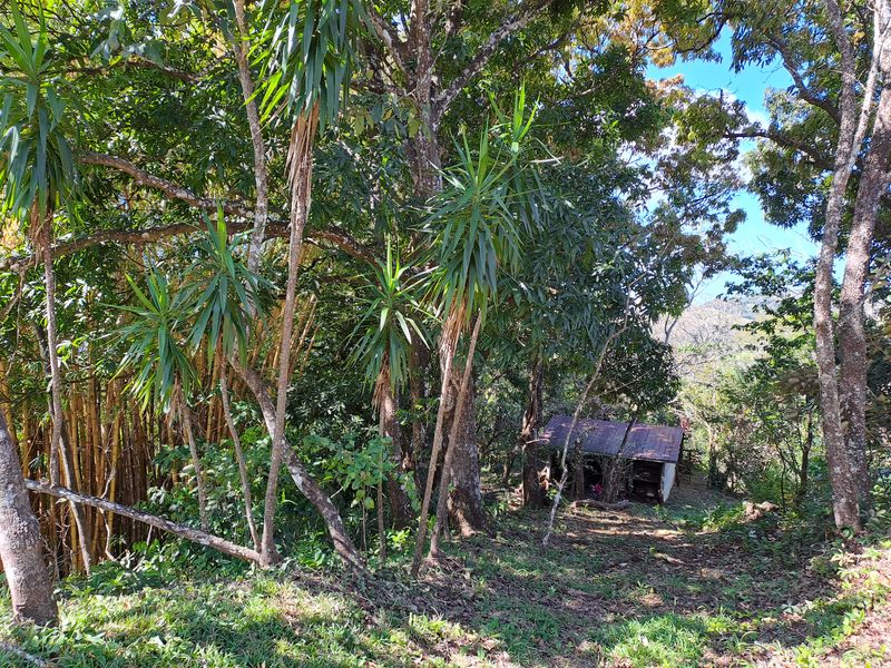Acess to stable at Lotes Pura Natura, land for sale at Naranjal, Samara, Guanacaste, Costa Rica