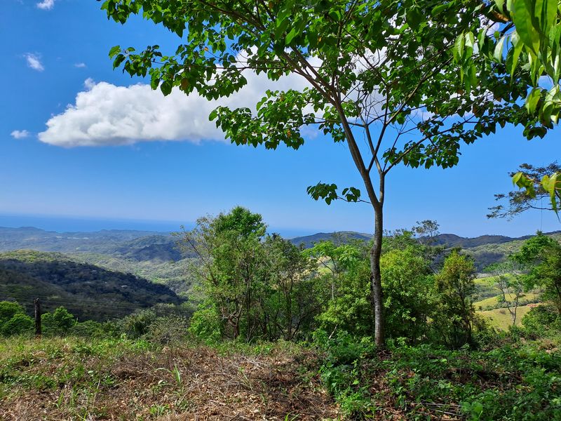 Jungle and ocean view from Lote Mirador #2, land for sale at Naranjal, Samara Beach, Guanacaste, Costa Rica