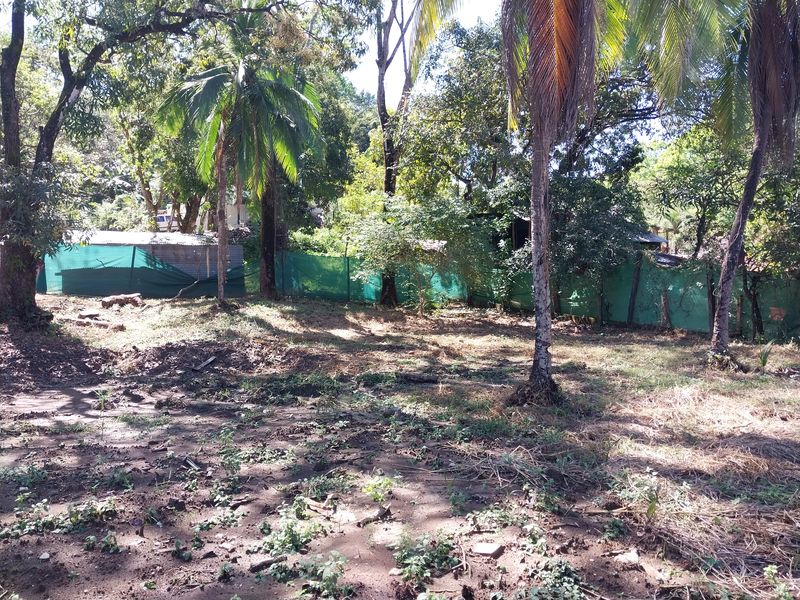 Neighbor's boundary on Lot Flo, land for sale atSamara, Guanacaste, Costa Rica