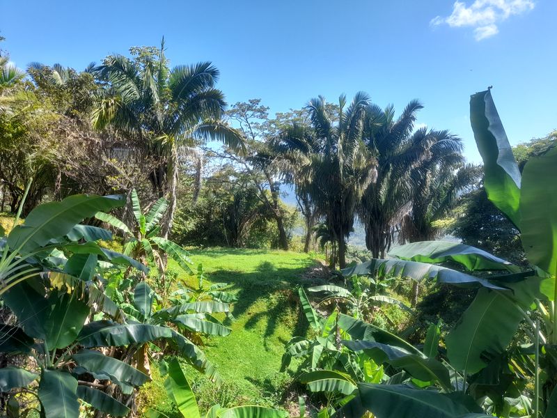 Beautiful jardin on Lote Vista Tranquila, land for sale in Carillo Beach, Guanacaste, Costa Rica