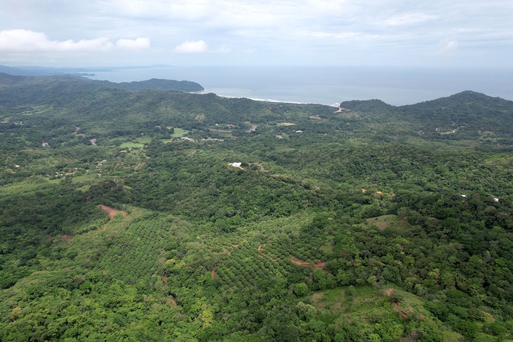 Drone view until ocean from lots Paraiso, land for sale at Boca del Toro, Carillo Beach, Guanacaste, Costa Rica