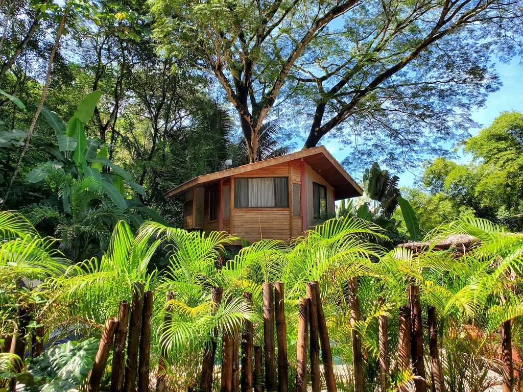 Palms fence at Wild Life Lodge, rental income property, Hotels and businesses for Sale at Samara Beach, Costa Rica