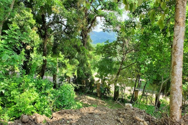 Mountain views from Lot 0 for sale at Samara Woods Samara Costa Rica