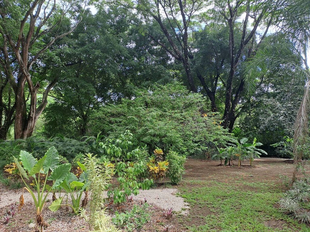 Frutal trees and bananos of Casa Las Maracas, home for sale at Esterones close to Samara Beach, Guanacaste, Costa Rica