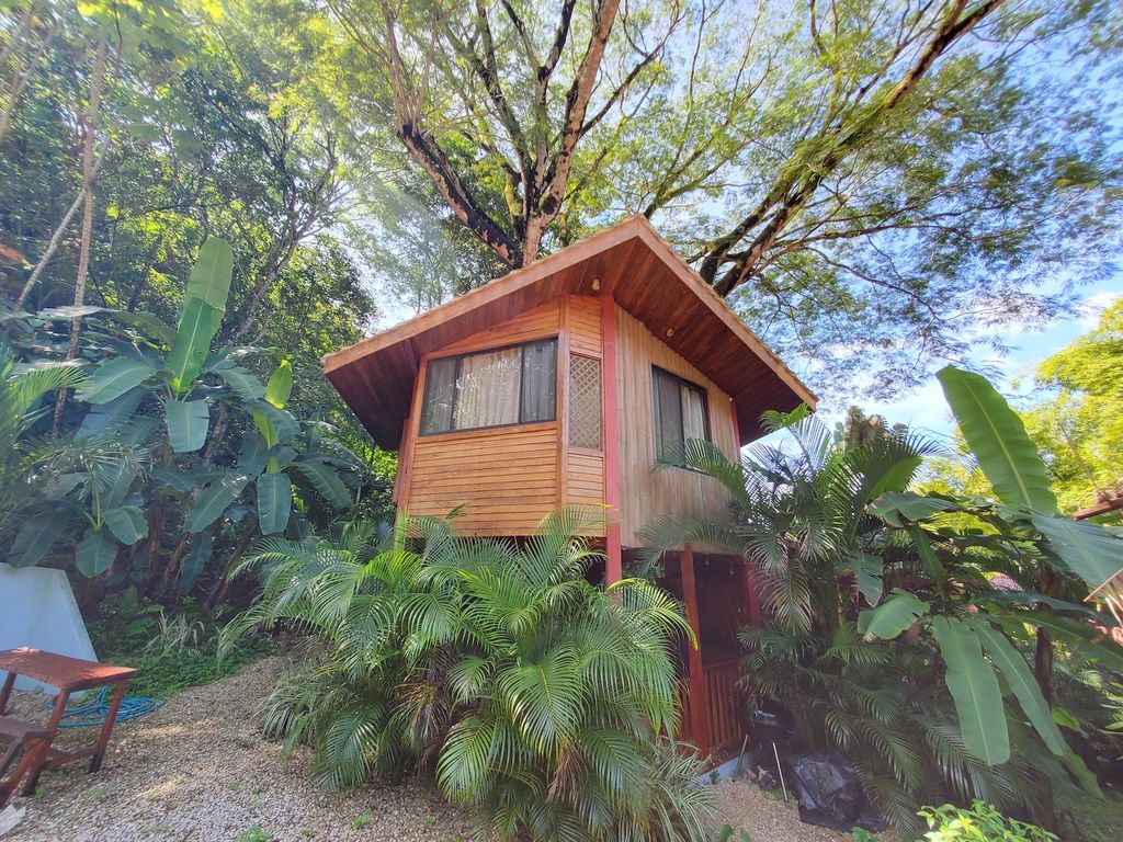 Tropical vegetation at Wild Life Lodge, rental income property, Hotels and businesses for Sale at Samara Beach, Costa Rica
