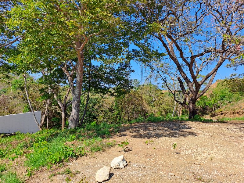 Trees on Lot Hernan, land for sale in Carillo Beach, Guanacaste, Costa Rica