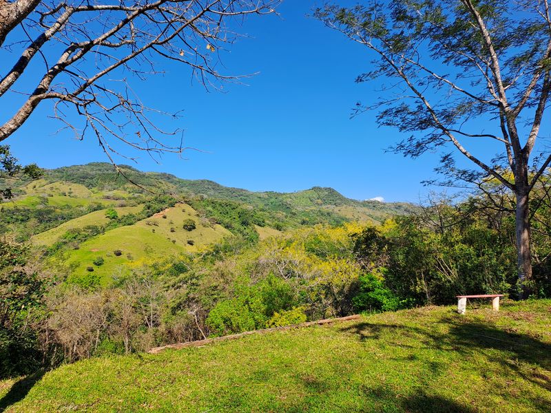 Beautiful landscaping at Lotes Pura Natura, land for sale at Naranjal, Samara, Guanacaste, Costa Rica