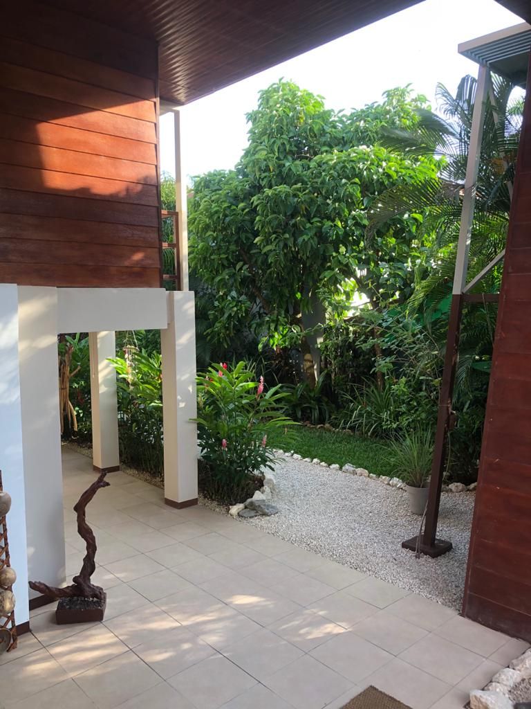 Beautifull trees at Relax Lodge hotel and rental income property, for sale atSamara Beach, Guanacaste, Costa Rica
