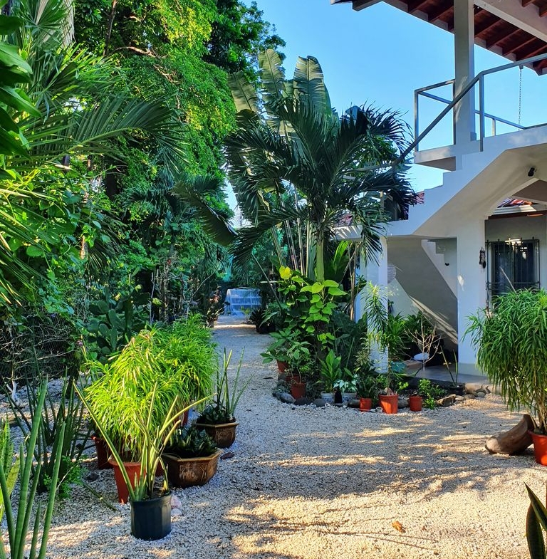 garden with lots of plants in Villa Medina, house for sale at Samara Beach, Guanacaste, Costa Rica