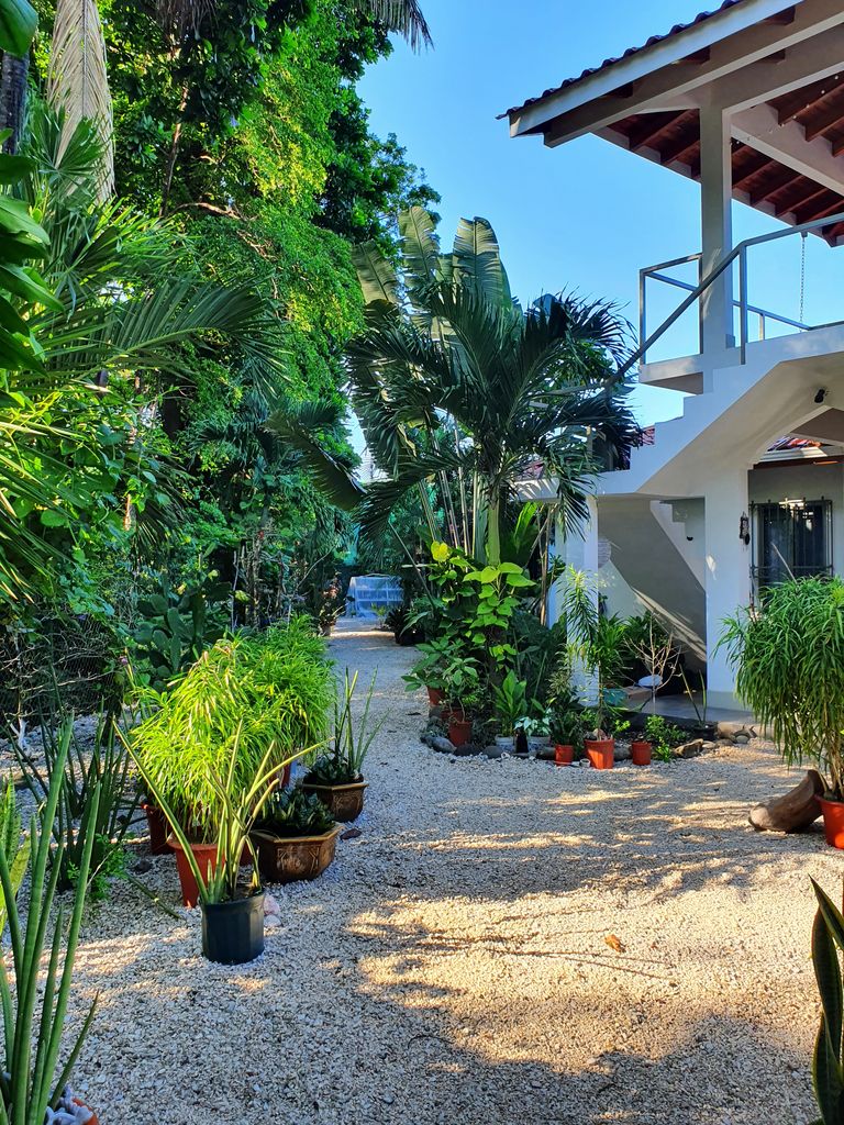 garden with lots of plants in Villa Medina, house for sale at Samara Beach, Guanacaste, Costa Rica