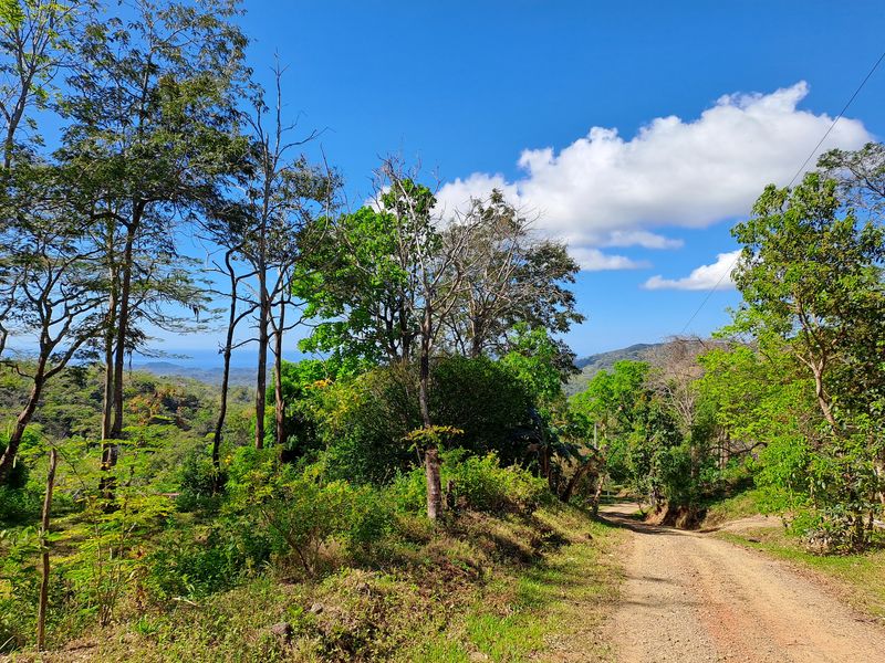 Main road at Lotes Pura Natura, land for sale at Naranjal, Samara, Guanacaste, Costa Rica