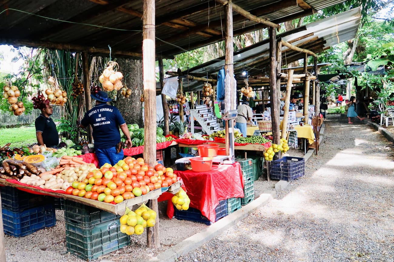 Fruit-market-samara-real-estate-beach-house-land-pacific-homes